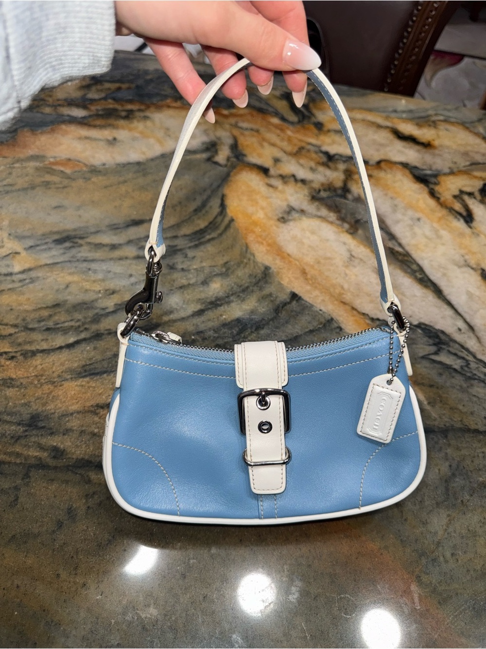 Coach Y2K Hamptons Demi Leather Mini Shoulder Bag